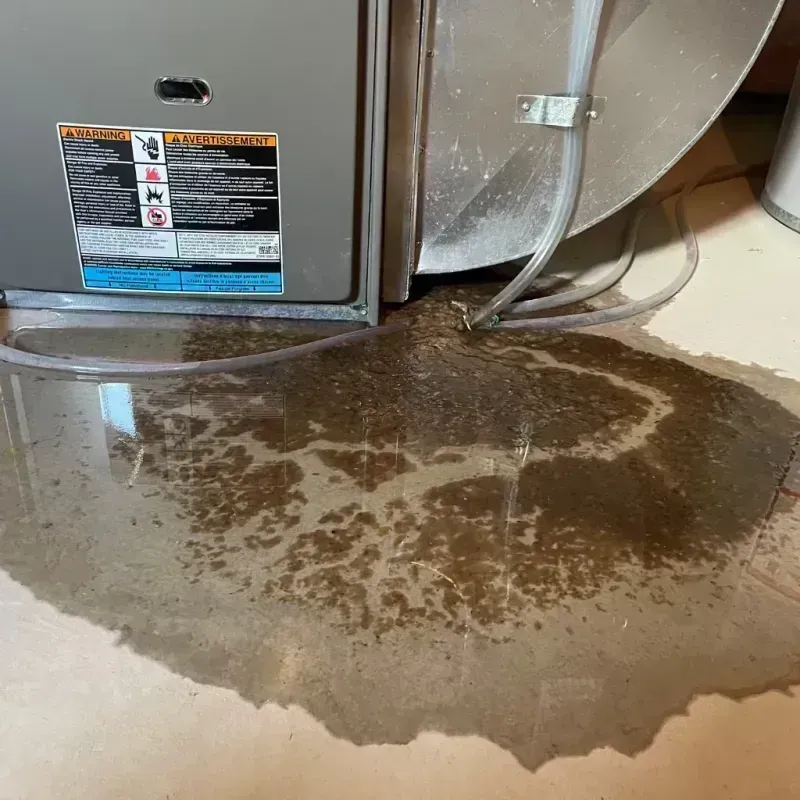 Appliance Leak Cleanup in Moweaqua, IL